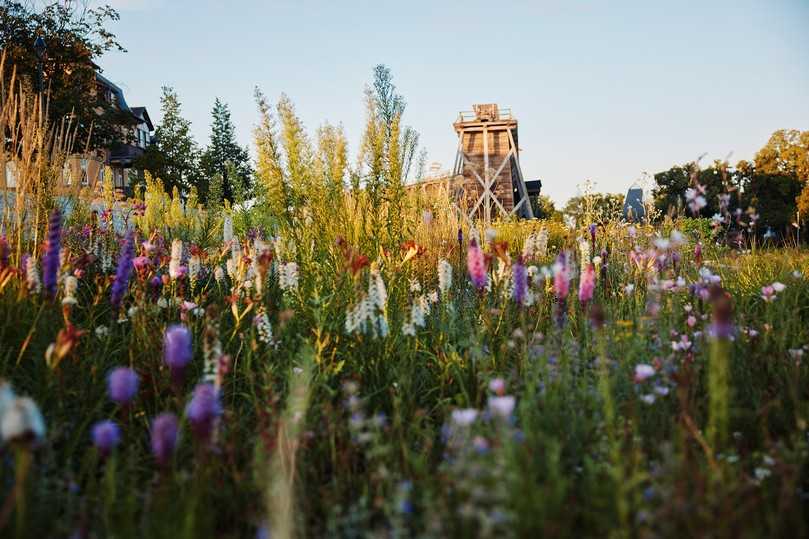 So schön war die Landesgartenschau in Bad Dürrenberg. Entstanden sind Grünanlagen und eine Infrastruktur, die die Stadt nachhaltig aufgewertet haben, einen Mehrwert für Einwohnerinnen und Einwohner schaffen und auch Touristinnen und Touristen künftig weiter anziehen sollen. | Foto: Jim Gramming So schön war die Landesgartenschau in Bad Dürrenberg. Entstanden sind Grünanlagen und eine Infrastruktur, die die Stadt nachhaltig aufgewertet haben, einen Mehrwert für Einwohnerinnen und Einwohner schaffen und auch Touristinnen und Touristen künftig weiter anziehen sollen. | Foto: Jim Gramming