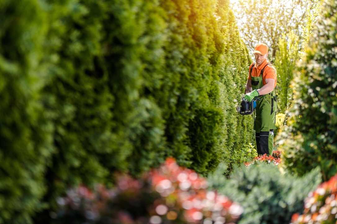 GaLaBau-Tarif: Zum 1. Juli 2024 eine Erhöhung von 3,9 Prozent GaLaBau-Tarif: Zum 1. Juli 2024 eine Erhöhung von 3,9 Prozent