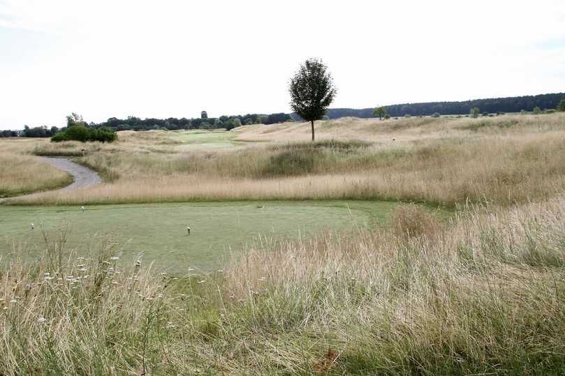 Rough und Hardrough-Flächen eignen sich, um die Artenvielfalt auf Golfplätzen zu fördern. | Foto: bs Rough und Hardrough-Flächen eignen sich, um die Artenvielfalt auf Golfplätzen zu fördern. | Foto: bs
