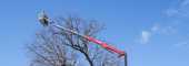 Baumpflege im Extrem: Was die Hinowa Lightlift 40.18 leistet