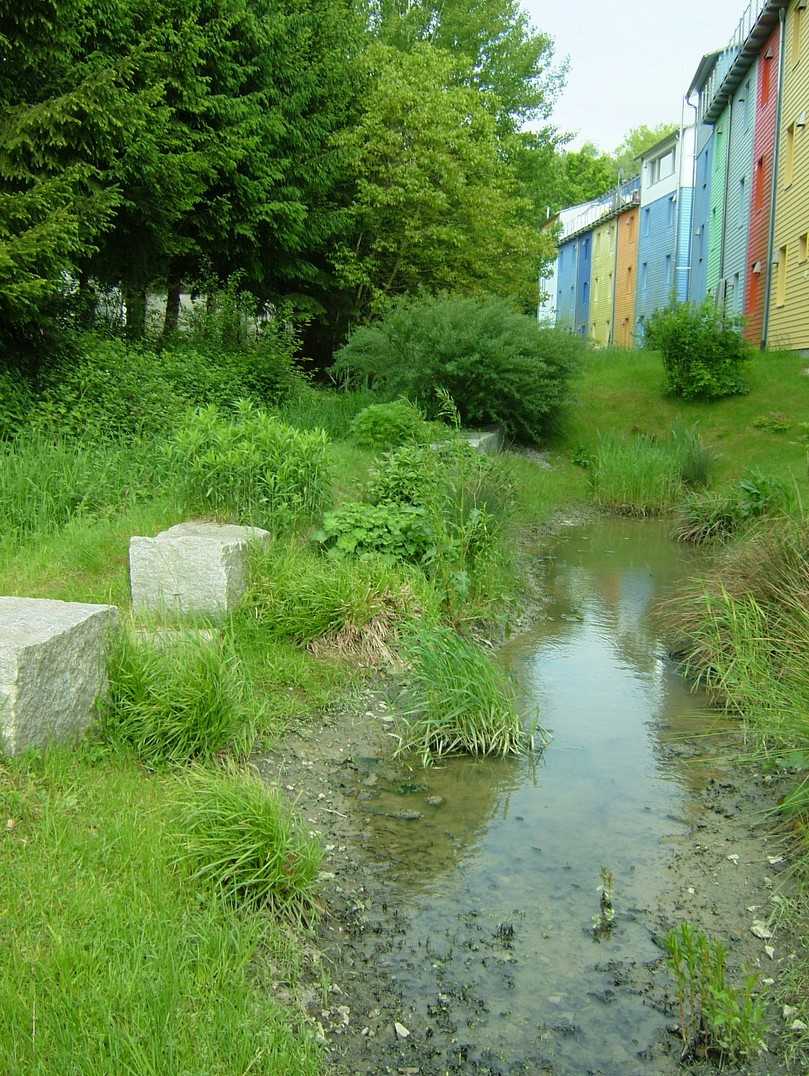 Freiburg im Breisgau, Solarsiedlung: Am Sonnenschiff, einem kombinierten Geschäfts- und Wohnbau entlang der Merzhauser Straße, beginnt der Entwässerungsgraben, der das Regenwasser kombiniert versickert und weiterleitet. | Foto: König Freiburg im Breisgau, Solarsiedlung: Am Sonnenschiff, einem kombinierten Geschäfts- und Wohnbau entlang der Merzhauser Straße, beginnt der Entwässerungsgraben, der das Regenwasser kombiniert versickert und weiterleitet. | Foto: König