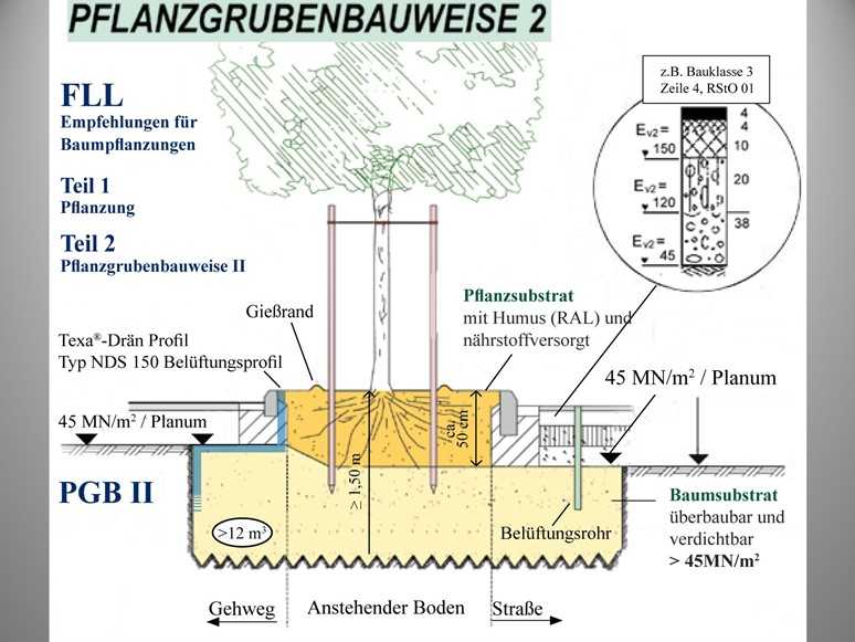 Grafik der Pflanzgrubenbauweise 2 gemäß Vorgaben der Forschungsgesellschaft Landschaftsentwicklung Landschaftsbau (FLL). | Foto: FLL Grafik der Pflanzgrubenbauweise 2 gemäß Vorgaben der Forschungsgesellschaft Landschaftsentwicklung Landschaftsbau (FLL). | Foto: FLL
