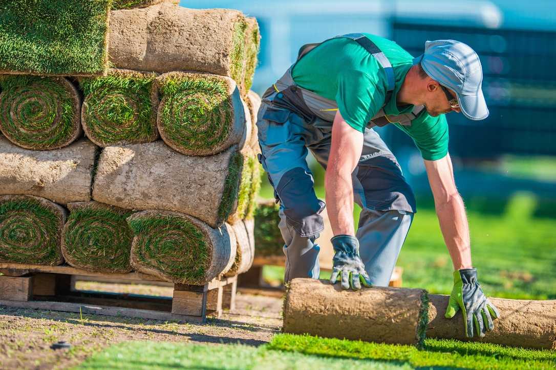 Harte Tarifverhandlungen im GaLaBau Harte Tarifverhandlungen im GaLaBau