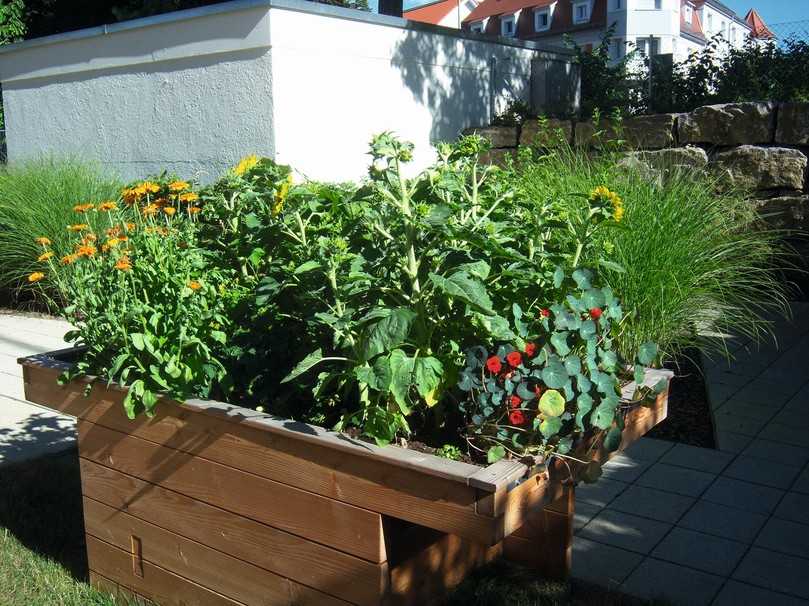 Dieses unterfahrbare Hochbeet ermöglicht es auch Rollstuhlfahrern, Obst und Gemüse anzubauen. | Foto: Rollibeet.de Dieses unterfahrbare Hochbeet ermöglicht es auch Rollstuhlfahrern, Obst und Gemüse anzubauen. | Foto: Rollibeet.de