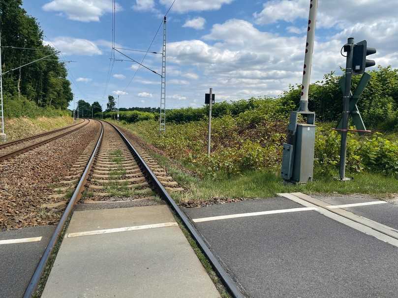 Vier Wochen nachdem bodennah gemulcht wurde, ist der Japanische Staudenknöterisch im vorderen Randbereich der Gleise schon wieder so hochgewachsen. | Foto: Janssen Vier Wochen nachdem bodennah gemulcht wurde, ist der Japanische Staudenknöterisch im vorderen Randbereich der Gleise schon wieder so hochgewachsen. | Foto: Janssen