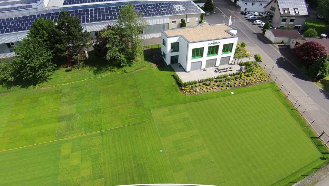 50 Jahre Eurogreen: Forschung für den perfekten Rasen 50 Jahre Eurogreen: Forschung für den perfekten Rasen