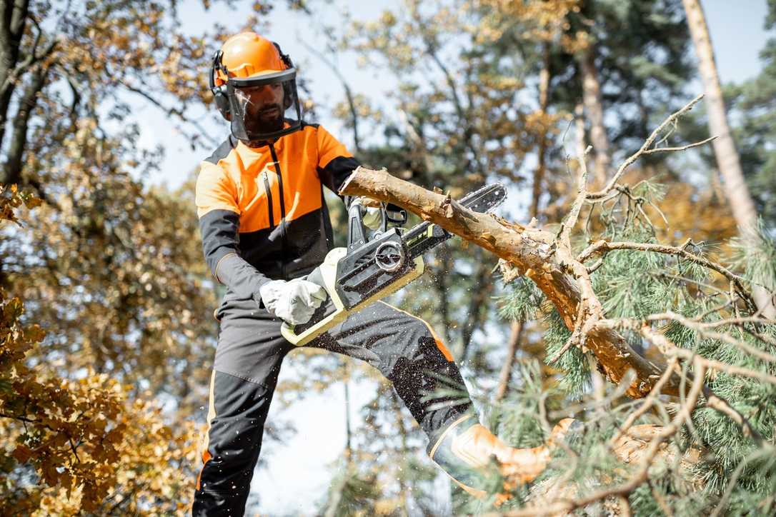 Wald in Not? IG BAU fordert mehr Forst-Personal Wald in Not? IG BAU fordert mehr Forst-Personal
