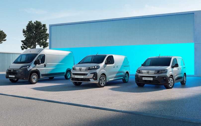 Die neue Peugeot-Flotte 2024: Sind es angedeutete Löwen-Schnurrhaare an den Scheinwerfern der kompakten Modelle? | Foto: Stellantis, Unruh Die neue Peugeot-Flotte 2024: Sind es angedeutete Löwen-Schnurrhaare an den Scheinwerfern der kompakten Modelle? | Foto: Stellantis, Unruh