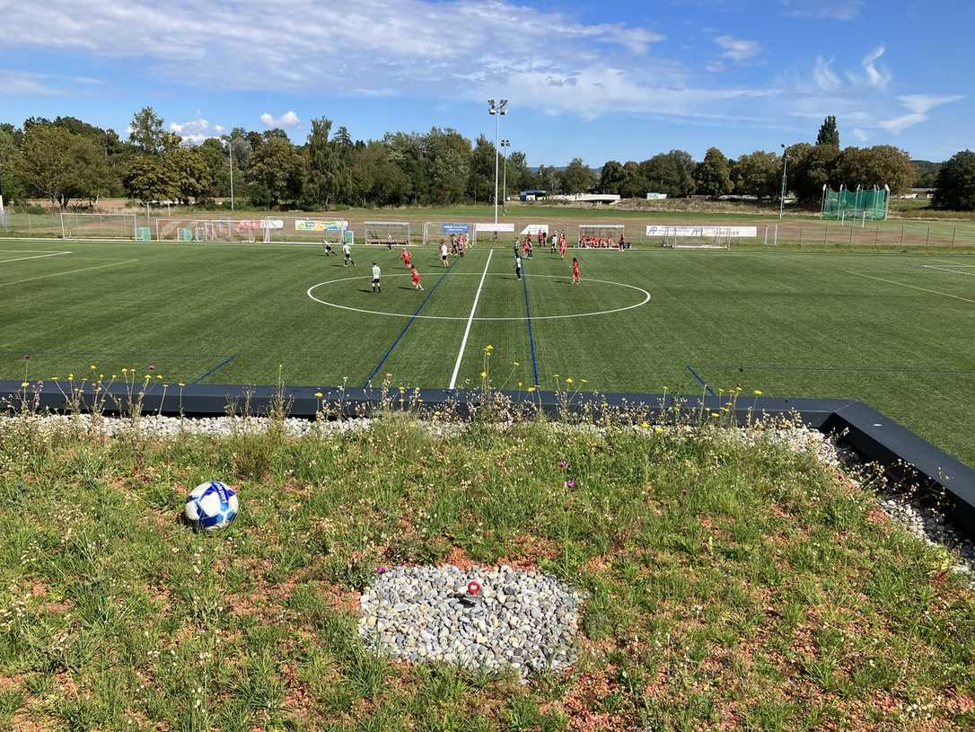 Vereinsheim nutzt Regenwasser für WC und Gründach Vereinsheim nutzt Regenwasser für WC und Gründach