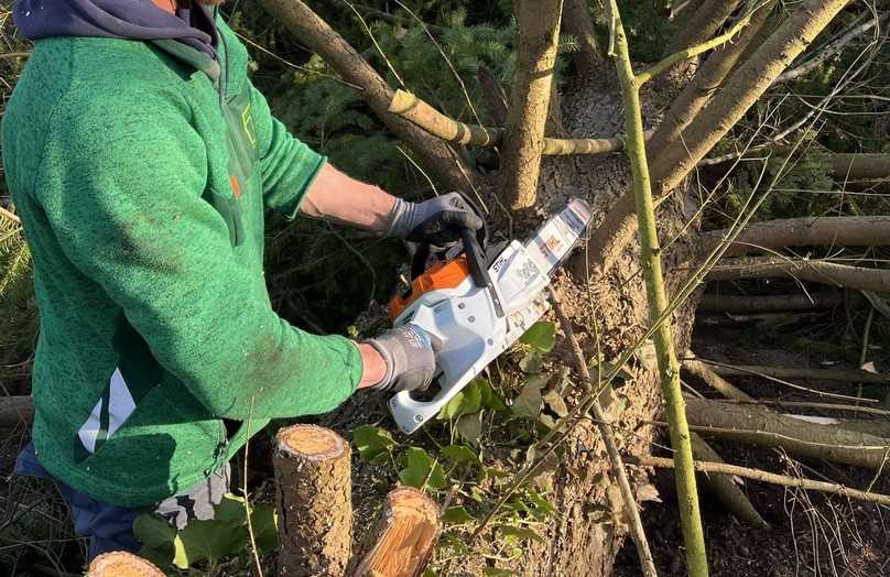 Die MSA 300 bietet drei auswählbare Leistungsstufen: Der „Allround-Modus“ ist vorteilhaft für Fällen, Ablängen und Handwerksarbeiten, hier ist bereits das volle Drehmoment der Säge verfügbar. | Foto: Mirold Garten- und Landschaftsbau Die MSA 300 bietet drei auswählbare Leistungsstufen: Der „Allround-Modus“ ist vorteilhaft für Fällen, Ablängen und Handwerksarbeiten, hier ist bereits das volle Drehmoment der Säge verfügbar. | Foto: Mirold Garten- und Landschaftsbau