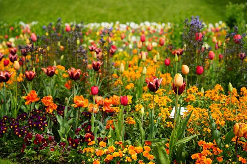 Die Landesgartenschau Wangen im Allgäu hat nach nur 16 Tagen bereits die 100.000-Besucher-Marke übersprungen. | Foto: Landesgartenschau Wangen Die Landesgartenschau Wangen im Allgäu hat nach nur 16 Tagen bereits die 100.000-Besucher-Marke übersprungen. | Foto: Landesgartenschau Wangen