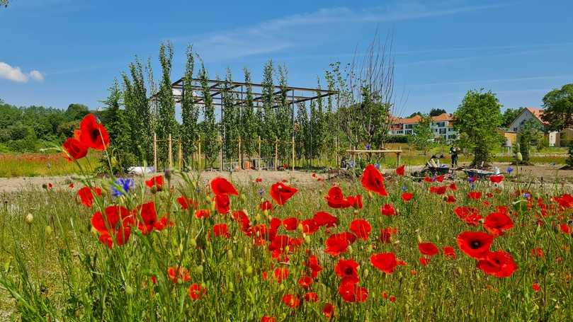 Die Landesgartenschau in Wangen im Allgäu öffnet vom 26. April bis zum 6. Oktober 2024. | Foto: lgswangen2024 Die Landesgartenschau in Wangen im Allgäu öffnet vom 26. April bis zum 6. Oktober 2024. | Foto: lgswangen2024