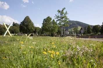Tal X im Schwarzwald lockt mit Naturgenuss und Action