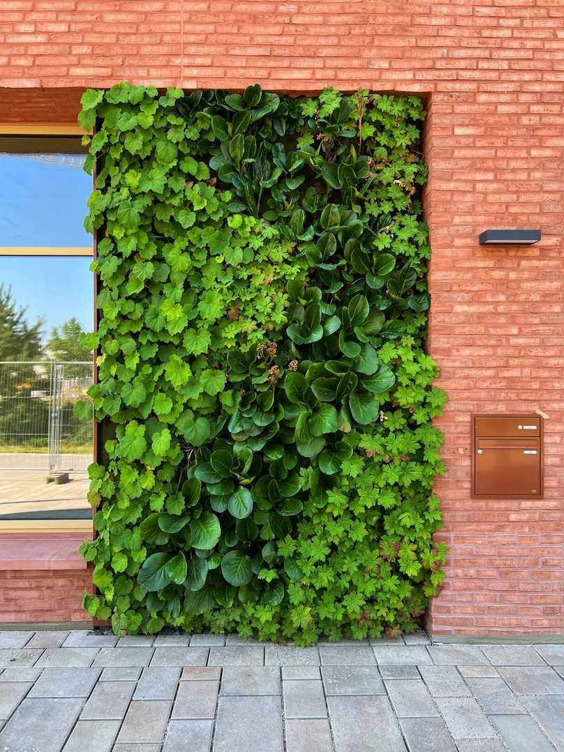 Mit dem erforderlichen Know-how sind kreativer Fassadenbegrünung kaum Grenzen gesetzt. | Foto: cityarc, Institut für Stadtnatur AG Mit dem erforderlichen Know-how sind kreativer Fassadenbegrünung kaum Grenzen gesetzt. | Foto: cityarc, Institut für Stadtnatur AG