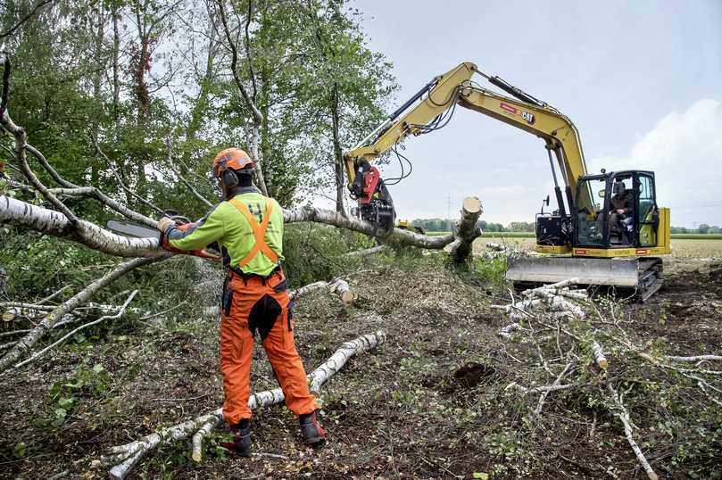 Dank des Forstgreifers kann der CAT 310 Stämme bis zu einem Durchmesser von 20 Zentimetern fällen. | Foto: action press / Christian Rudnik Dank des Forstgreifers kann der CAT 310 Stämme bis zu einem Durchmesser von 20 Zentimetern fällen. | Foto: action press / Christian Rudnik