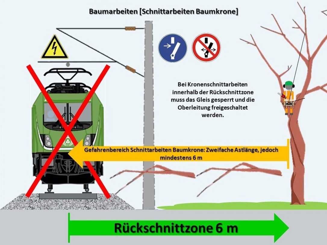 Vegetationspflege an Bahngleisen: So vermeiden Sie Unfälle Vegetationspflege an Bahngleisen: So vermeiden Sie Unfälle