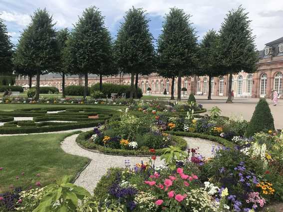 Wie sich der Schlossgarten Schwetzingen für die Zukunft wappnet