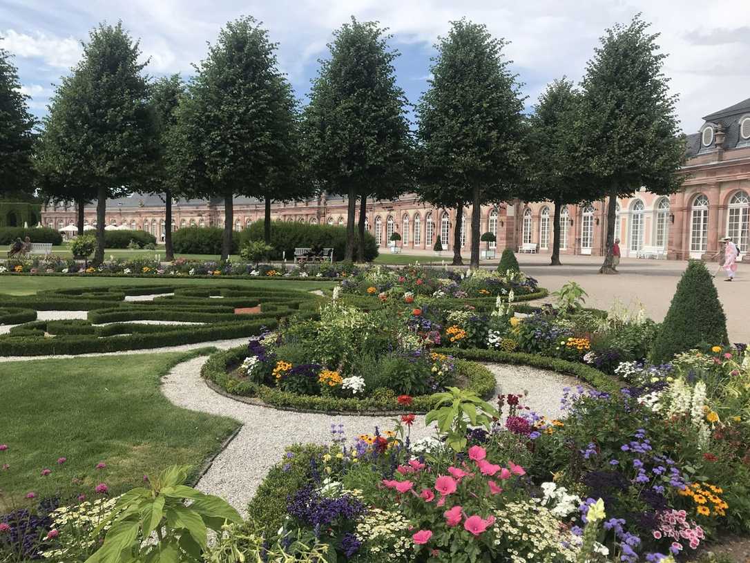 Klimawandel bedroht Schlossgarten Schwetzingen Klimawandel bedroht Schlossgarten Schwetzingen