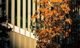 Neuer Koalitionsvertrag: Geplante Vorhaben für öffentliche Beschaffung