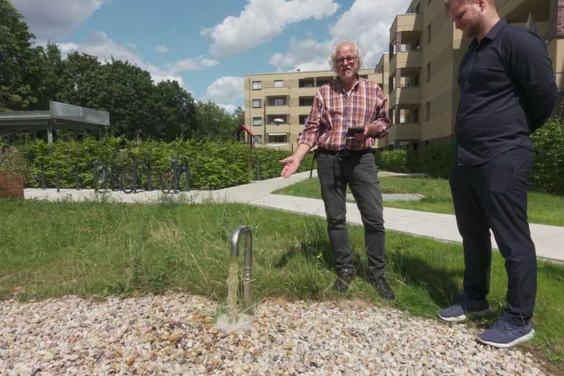 Innenhof Berlin, Dolomitenstraße 47 bis 49: Ist der unterirdische Regenspeicher voll, wird ein Teil des Wassers automatisch zur Versickerung in einer Mulde an die Oberfläche gepumpt. Das schafft Retentionsraum für den nächsten Niederschlag. | Foto: König Innenhof Berlin, Dolomitenstraße 47 bis 49: Ist der unterirdische Regenspeicher voll, wird ein Teil des Wassers automatisch zur Versickerung in einer Mulde an die Oberfläche gepumpt. Das schafft Retentionsraum für den nächsten Niederschlag. | Foto: König