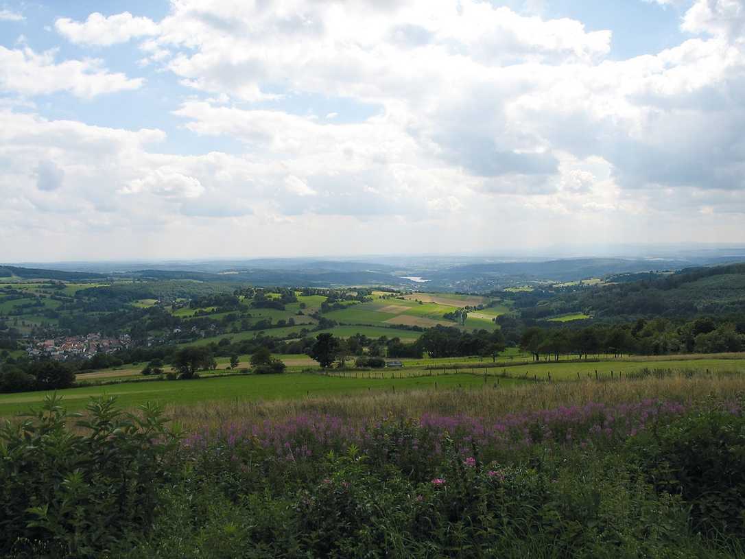 Die Landesgartenschau in Hessen findet 2027 an elf Orten in der Region Oberhessen statt. Die Landesgartenschau in Hessen findet 2027 an elf Orten in der Region Oberhessen statt.
