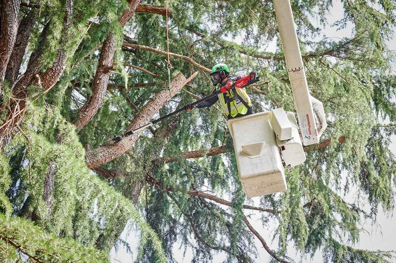 Mit Tragegurt und anpassbarer Schaftlänge kann die M18 FTPS30 auch von der Arbeitsbühne aus eingesetzt werden. | Foto: Robby Koenig Mit Tragegurt und anpassbarer Schaftlänge kann die M18 FTPS30 auch von der Arbeitsbühne aus eingesetzt werden. | Foto: Robby Koenig