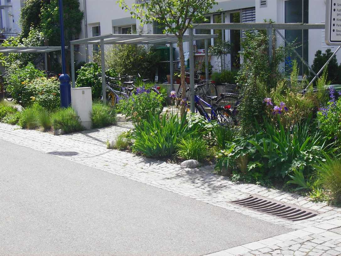 Münster Wassertage: WSUD und blau-grüne Infrastruktur Münster Wassertage: WSUD und blau-grüne Infrastruktur