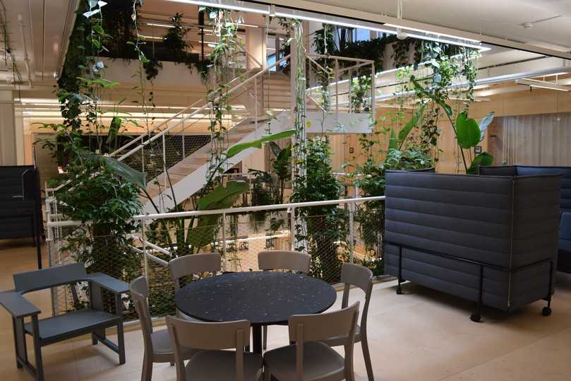 Die Firma Implenia connect in Zürich hat die „BuGG-Innenraumbegrünung des Jahres 2022“ - Pflanzgefäße in verschiedener Ausbildung. | Foto: Bundesverband GebäudeGrün Die Firma Implenia connect in Zürich hat die „BuGG-Innenraumbegrünung des Jahres 2022“ - Pflanzgefäße in verschiedener Ausbildung. | Foto: Bundesverband GebäudeGrün