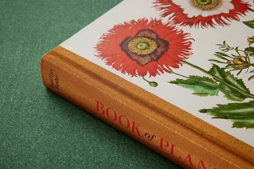 Die drei Bände sind sie ein repräsentatives Buch für Buchliebhaber, Botaniker, Kunstliebhaber, Gartenfreunde und Pflanzenfans. | Foto: Taschen Verlag/Mark Seelen Die drei Bände sind sie ein repräsentatives Buch für Buchliebhaber, Botaniker, Kunstliebhaber, Gartenfreunde und Pflanzenfans. | Foto: Taschen Verlag/Mark Seelen