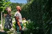 Hecke schneiden und pflanzen: Fristen, Regeln und Tipps für braune Thujen Hecke schneiden und pflanzen: Fristen, Regeln und Tipps für braune Thujen