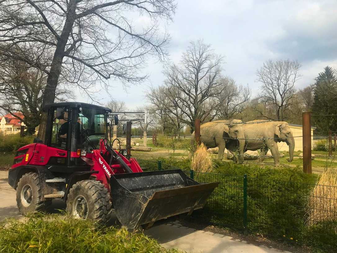 Damit überzeugt der Radlader im Zoo Damit überzeugt der Radlader im Zoo