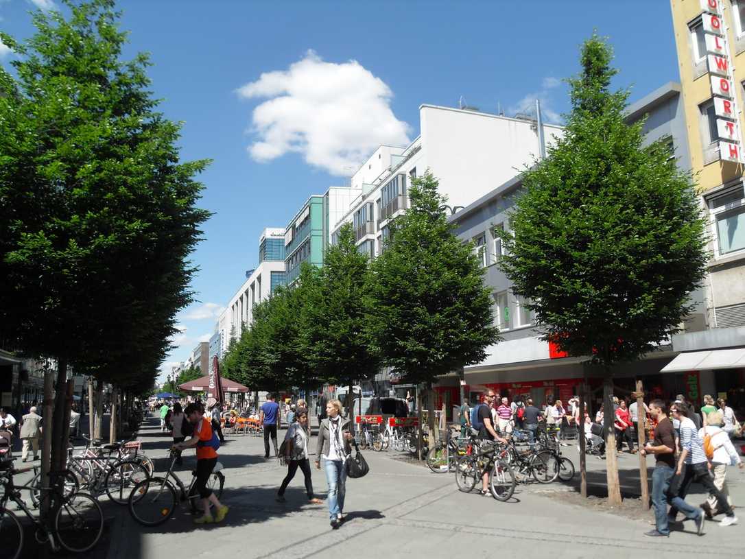 Schwammstadt-Prinzip für Bäume - FLL Bauweisen und Substrate Schwammstadt-Prinzip für Bäume - FLL Bauweisen und Substrate