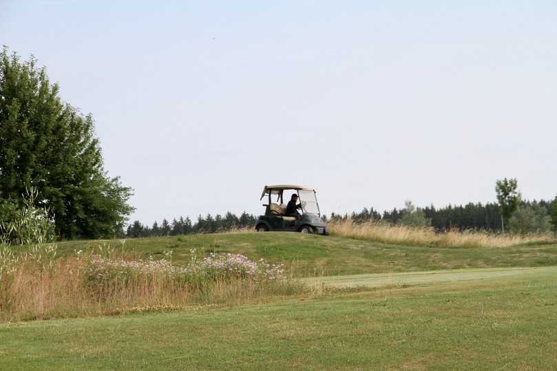 Beispielsweise an Böschungen können im Golf Club Valley einige Flächen noch weiter ökologisch aufgewertet werden. | Foto: bs Beispielsweise an Böschungen können im Golf Club Valley einige Flächen noch weiter ökologisch aufgewertet werden. | Foto: bs