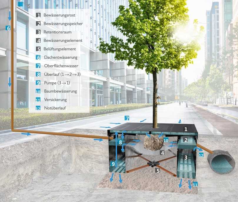 Das Rigolensystem Typ Alveus der Firma Humberg wurde in Abstimmung mit der FH Münster und dem Hersteller im Rahmen des BeGrüKlim-Projektes immer wieder optimiert. Es lässt sich individuell an unterschiedliche Standorte und Platzverhältnisse anpassen. | Foto: Fa. Humberg/FH Münster Das Rigolensystem Typ Alveus der Firma Humberg wurde in Abstimmung mit der FH Münster und dem Hersteller im Rahmen des BeGrüKlim-Projektes immer wieder optimiert. Es lässt sich individuell an unterschiedliche Standorte und Platzverhältnisse anpassen. | Foto: Fa. Humberg/FH Münster