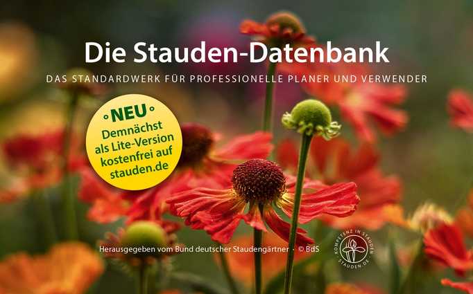 Staudendatenbank als Online-Version