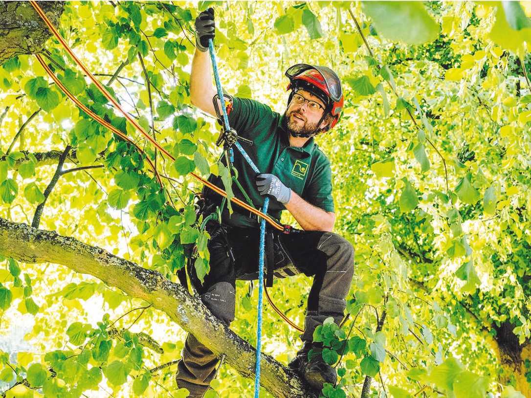 Fachagrarwirt für Baumpflege in Zeiten des Klimawandels Fachagrarwirt für Baumpflege in Zeiten des Klimawandels