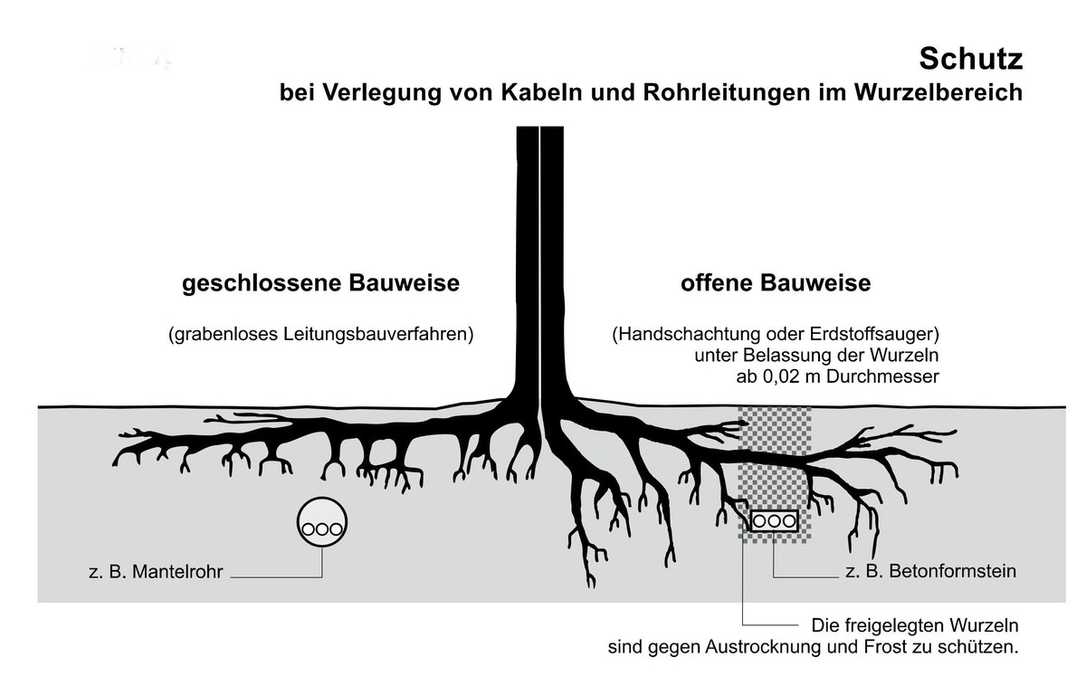 Baumschutz auf Baustellen: DIN 18920 und R SBB - RAS-LP 4 wurde ersetzt Baumschutz auf Baustellen: DIN 18920 und R SBB - RAS-LP 4 wurde ersetzt