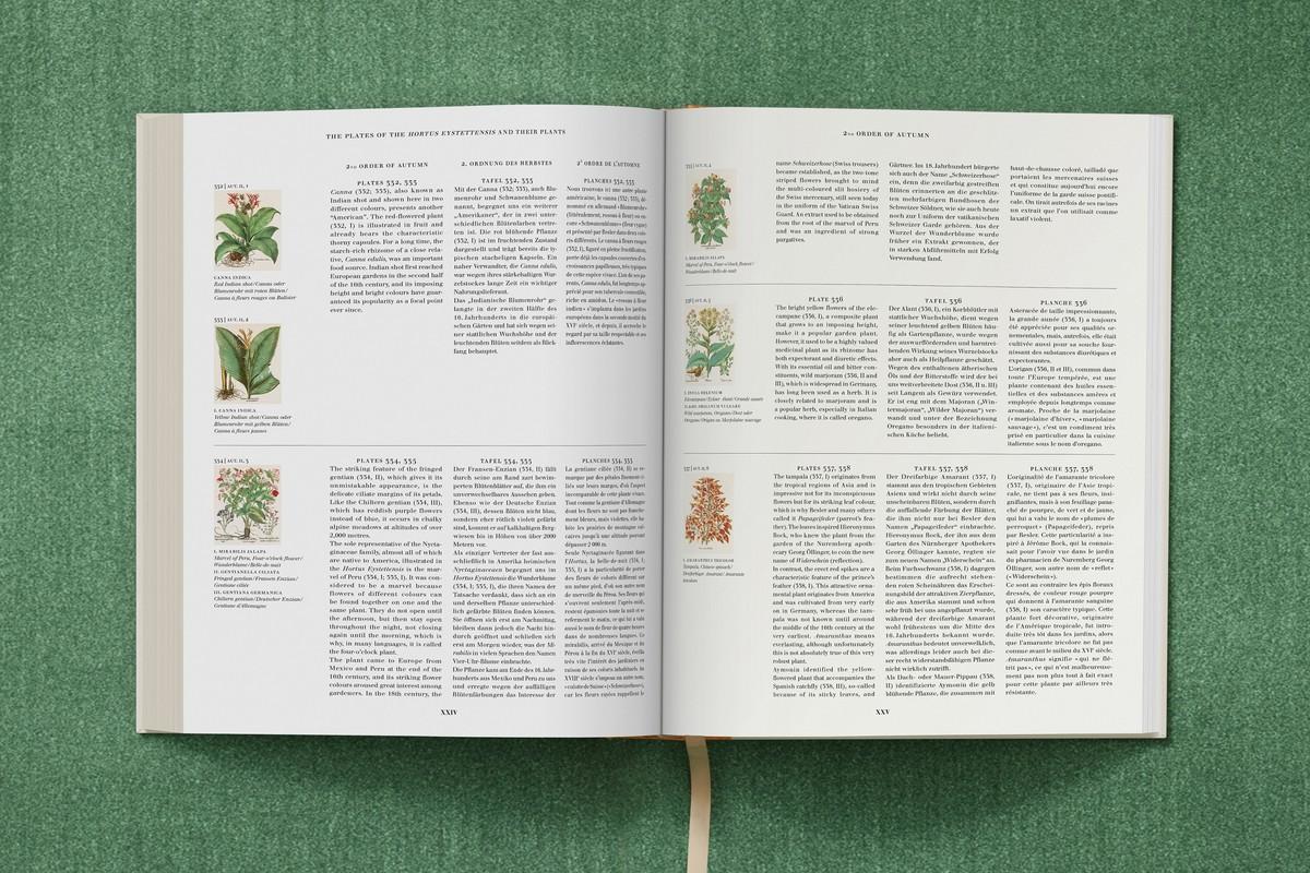 Die Tafeln des Hortus Eystettensis und ihre Pflanzen, Band III | Foto: TASCHEN / Bibliothek des Bischöflichen Seminars Eichstätt/Universitätsbibliothek Die Tafeln des Hortus Eystettensis und ihre Pflanzen, Band III | Foto: TASCHEN / Bibliothek des Bischöflichen Seminars Eichstätt/Universitätsbibliothek