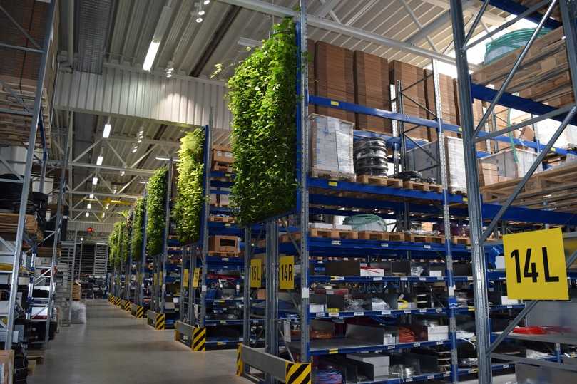 Begrünungen in Lager- und Fertigungshallen schaffen ein angenehmeres Arbeitsumfeld. | Foto: Bundesverband GebäudeGrün Begrünungen in Lager- und Fertigungshallen schaffen ein angenehmeres Arbeitsumfeld. | Foto: Bundesverband GebäudeGrün
