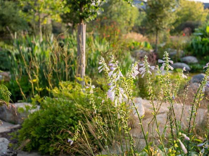Der Garten “Jardin Extraordinaire”: Von idverde-Experten entworfen, entwickelt und umgesetzt. | Foto: idverde Der Garten “Jardin Extraordinaire”: Von idverde-Experten entworfen, entwickelt und umgesetzt. | Foto: idverde