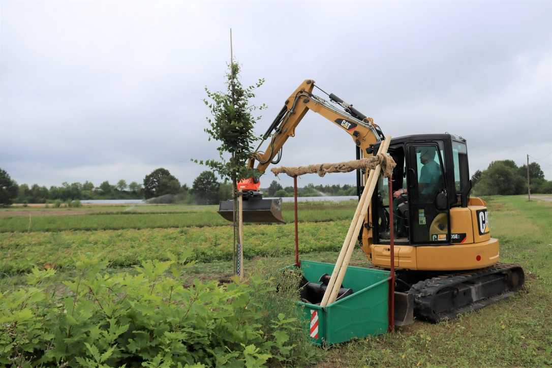 Caterpillar: Baumschule setzt Baumaschinen beim Aufforsten ein Caterpillar: Baumschule setzt Baumaschinen beim Aufforsten ein