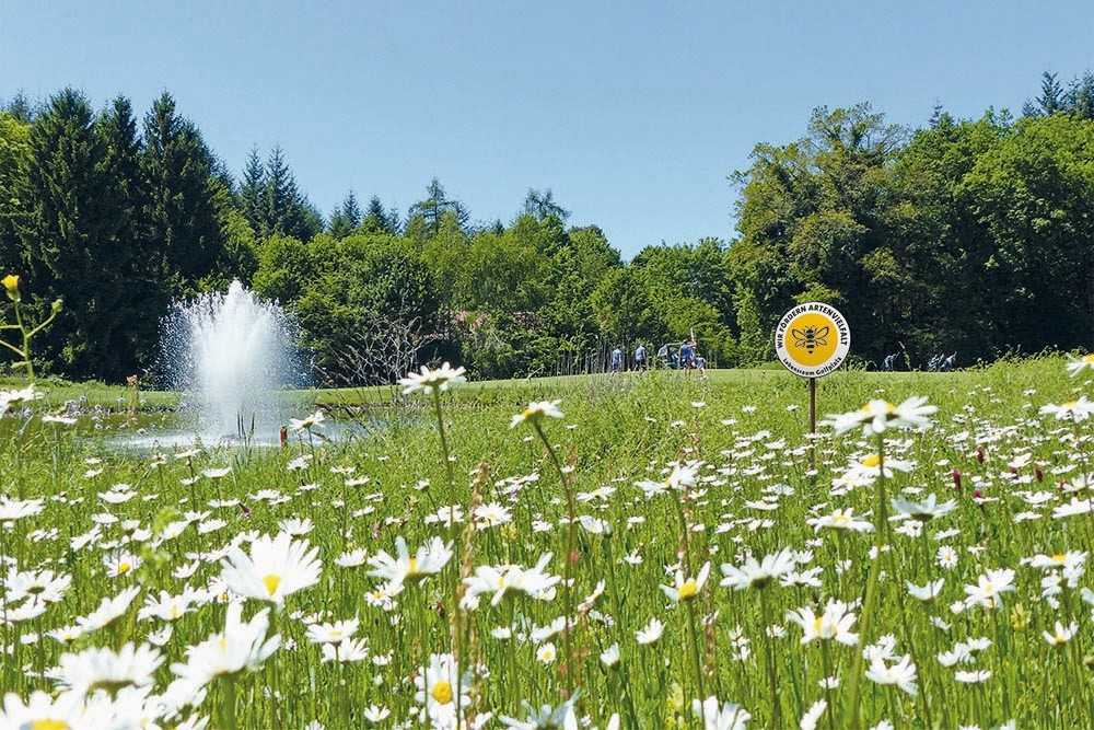 Golfplätze als Refugium für Biodiversität Golfplätze als Refugium für Biodiversität