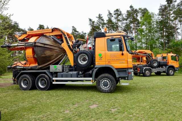 Sonderschau „Baum-Generator“ lädt zum Mitmachen ein Sonderschau „Baum-Generator“ lädt zum Mitmachen ein