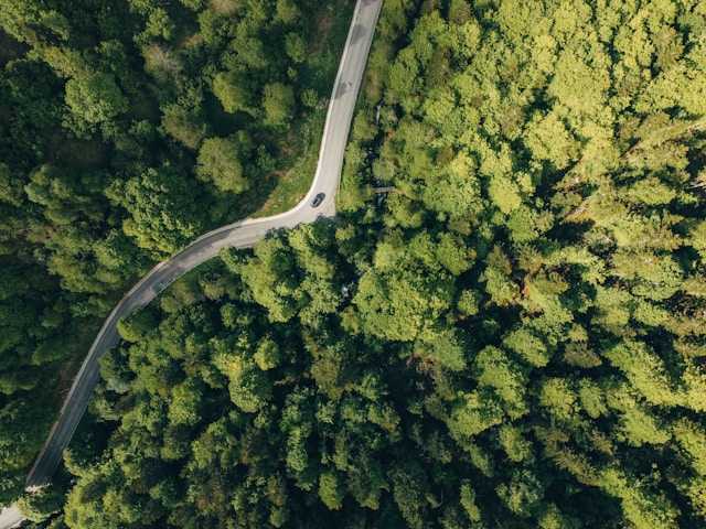 Auch bei vereinfachten Verfahren müssen ökologische und soziale Kriterien berücksichtigt werden.