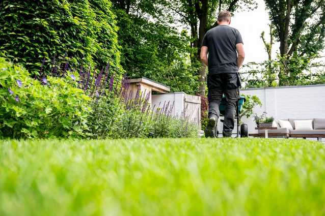 Bodenverbesserer und Rasendünger: GaLaBau-Neuheiten für den Sommer