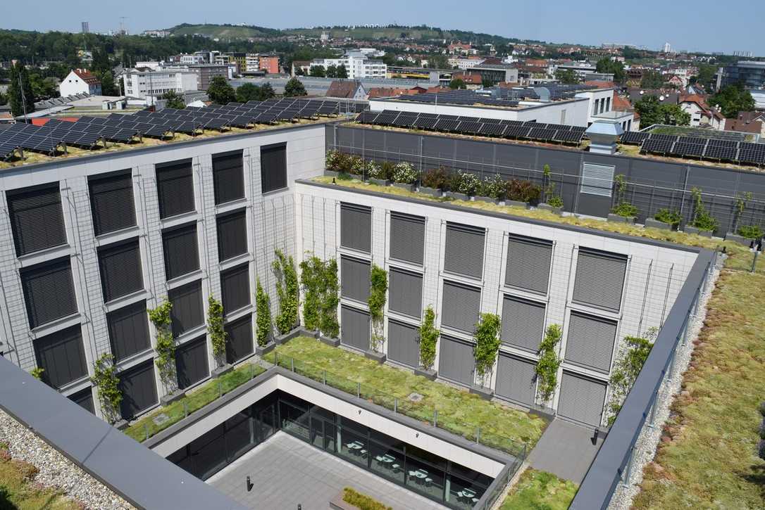 BuGG-Fachinformation: Fördermöglichkeiten für Dach- und Fassadenbegrünung BuGG-Fachinformation: Fördermöglichkeiten für Dach- und Fassadenbegrünung
