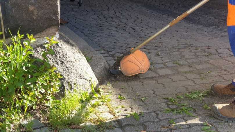 Neben den Laubbläsern sorgen auch Freischneider für ein sauberes Kiel. | Foto: B_I MEDIEN/hin Neben den Laubbläsern sorgen auch Freischneider für ein sauberes Kiel. | Foto: B_I MEDIEN/hin