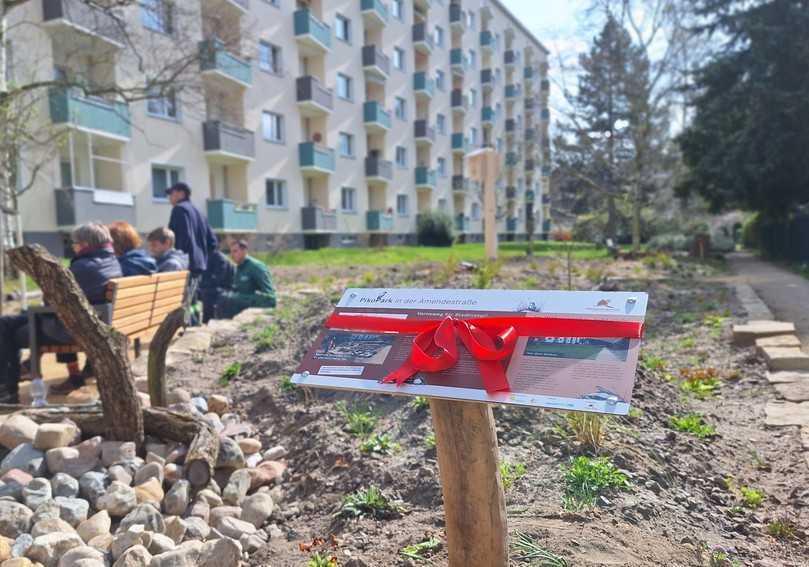 Gemeinsam naturnahe Wohnquartiere schaffen: Dafür arbeiteten die Stiftung für Mensch und Umwelt, die Wohnungsgenossenschaft Märkische Scholle und das Ausbildungszentrum OTA Hand in Hand. | Foto: Stiftung für Mensch und Umwelt/Jentzsch Gemeinsam naturnahe Wohnquartiere schaffen: Dafür arbeiteten die Stiftung für Mensch und Umwelt, die Wohnungsgenossenschaft Märkische Scholle und das Ausbildungszentrum OTA Hand in Hand. | Foto: Stiftung für Mensch und Umwelt/Jentzsch