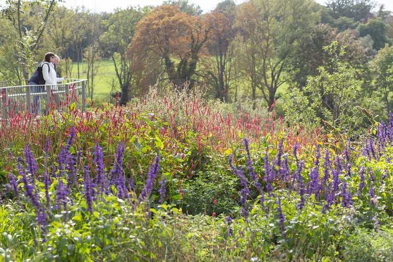 So viel farbenfrohe Natur im Garten: Endspurt auf der Landesgartenschau in Bad Dürrenberg. | Foto: Landesgartenschau Bad Dürrenberg So viel farbenfrohe Natur im Garten: Endspurt auf der Landesgartenschau in Bad Dürrenberg. | Foto: Landesgartenschau Bad Dürrenberg