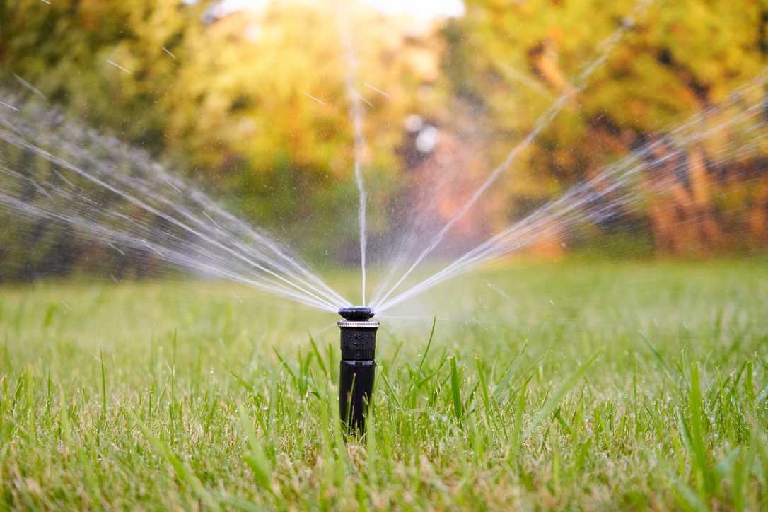 Wasser sparen im Garten: Expertentipps Wasser sparen im Garten: Expertentipps